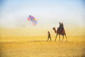 camel and man in the desert