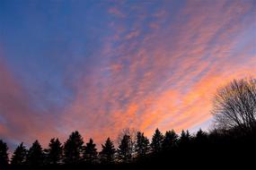 Sunset Sky Trees