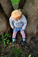 small Child Boy sits on tree trunk