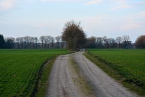 Nature Field Mark Spring