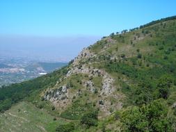 green trees in the rocks