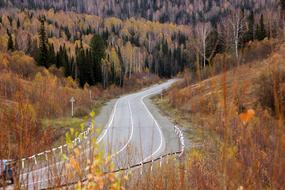 Autumn forestry Road