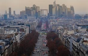 Cityscape of the historical center of Paris, France, with trees, at colorful sunset