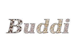 Colorful "Buddi" text with bottles in the letters, at white background, on clipart