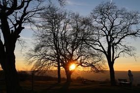 Sunset Nature Conservation
