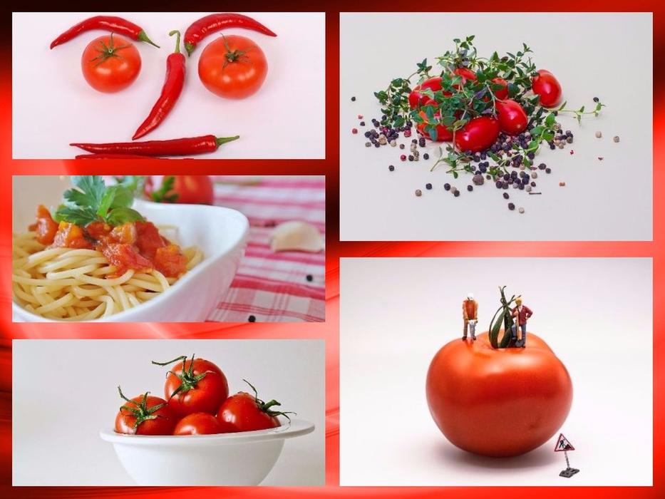 collage of juicy tomatoes