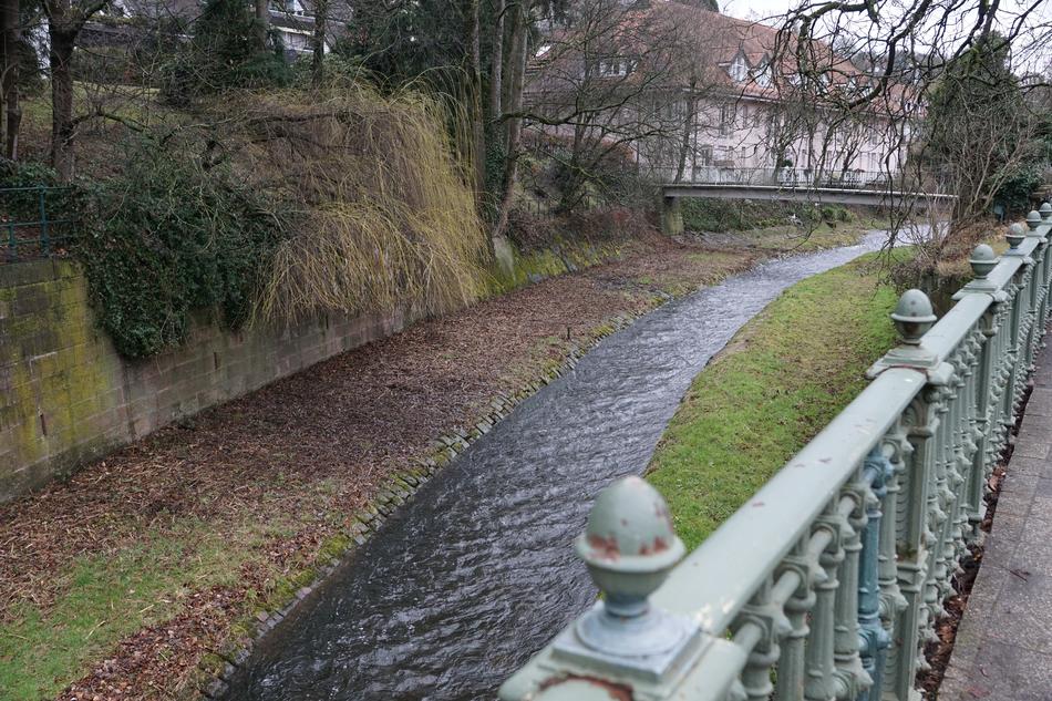 the river flowing in the park near the bridge