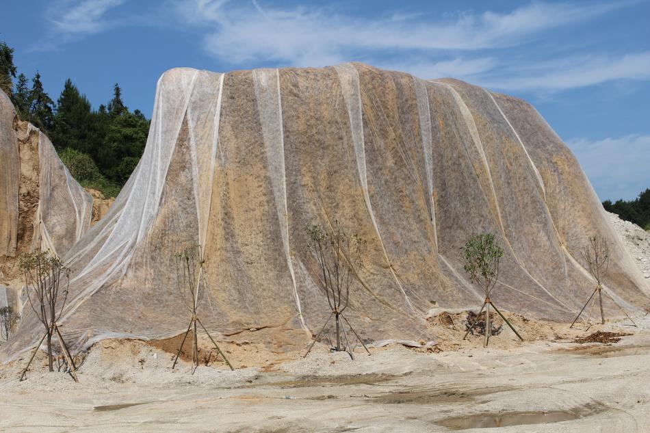 large salt rock