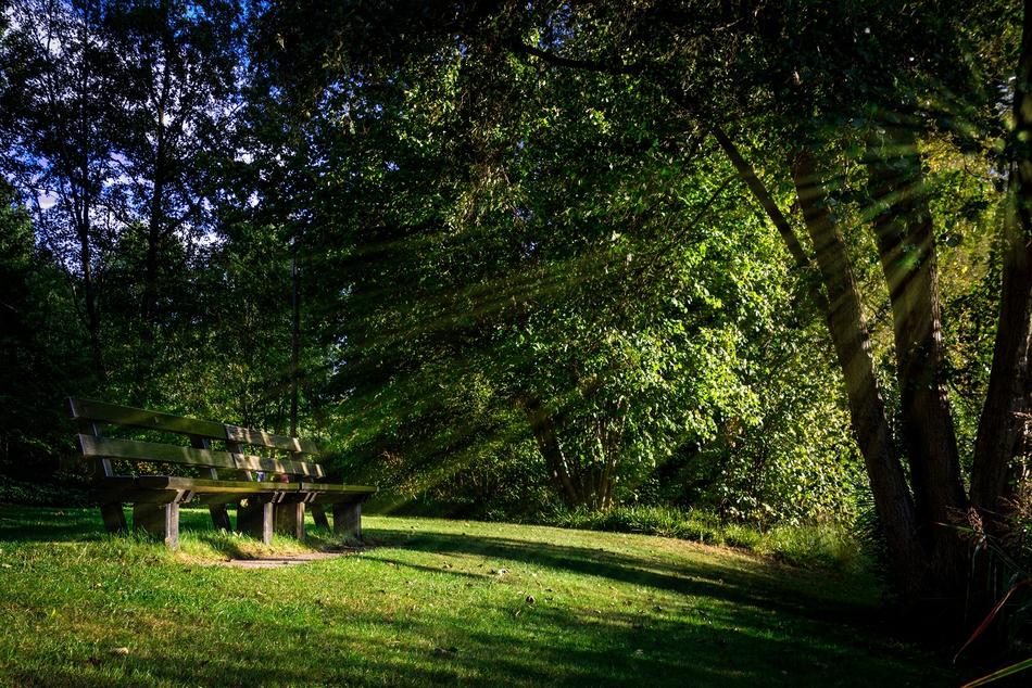 Bank Nature