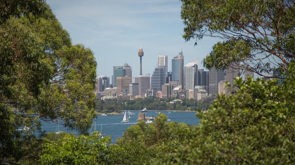 Canon Sydney Harbour Centrepoint