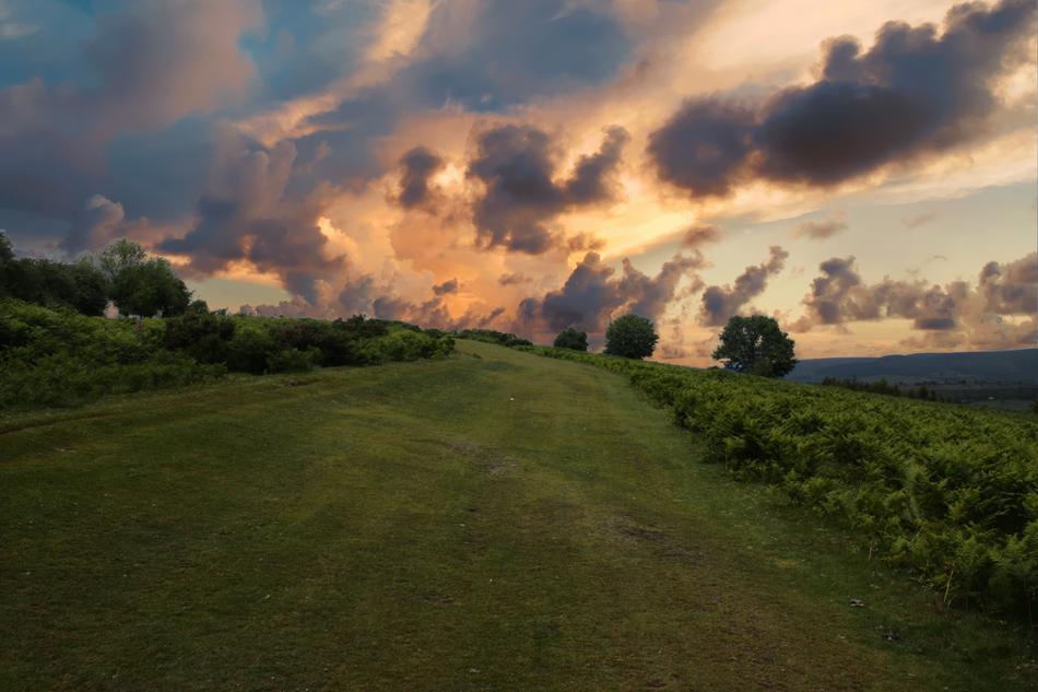 sunset by the meadow