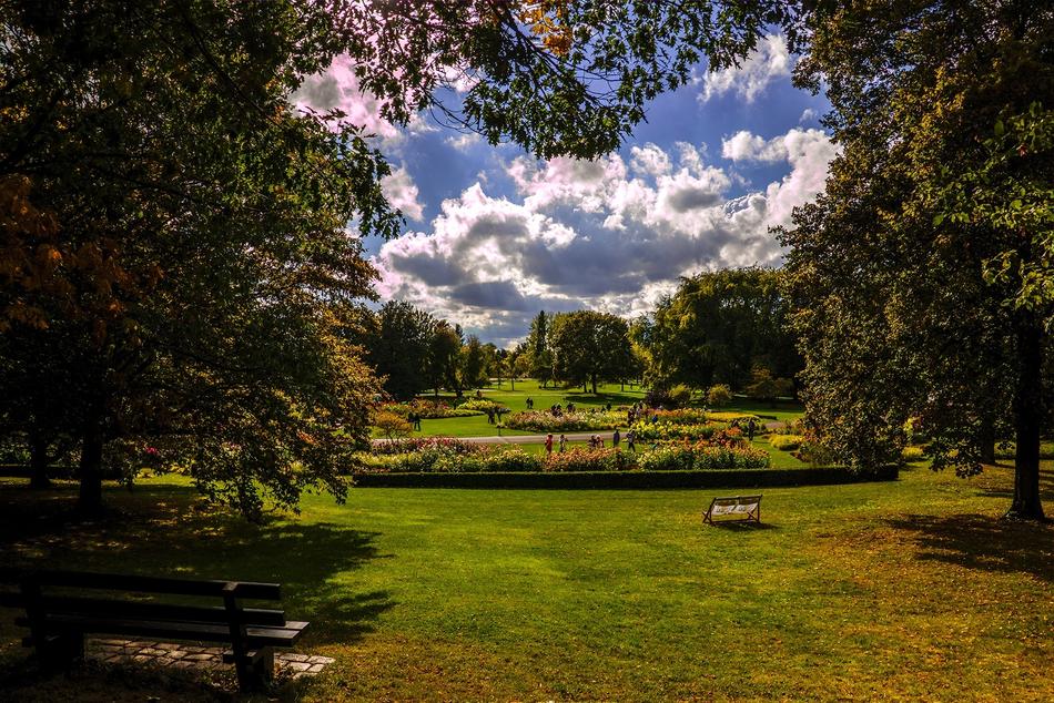 Nature Landscape Meadow