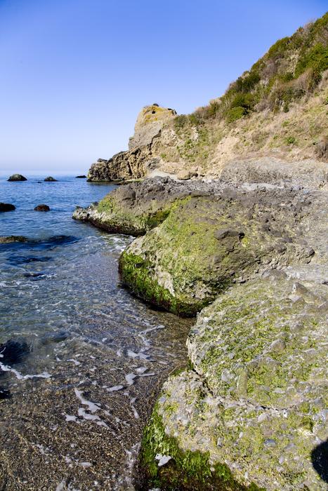 Rocky Marine Beach landscape