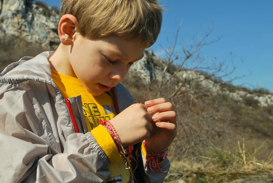 the boy looks at the ladybug on his hand