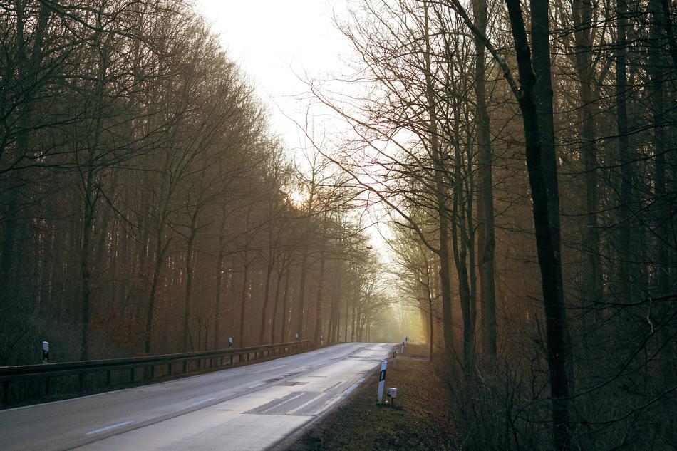Road Away Landscape