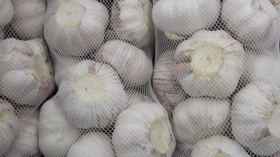 garlic in a mesh bag