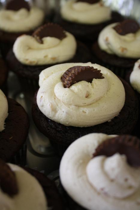 creamy chocolate cupcakes