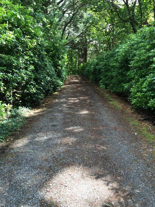 Road Tunnel Path