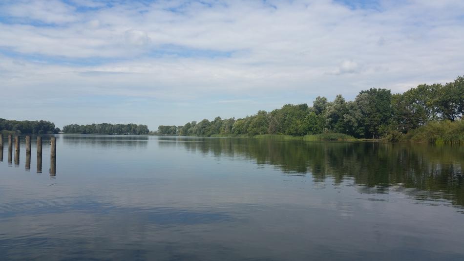 a large lake with a bridge by the forest
