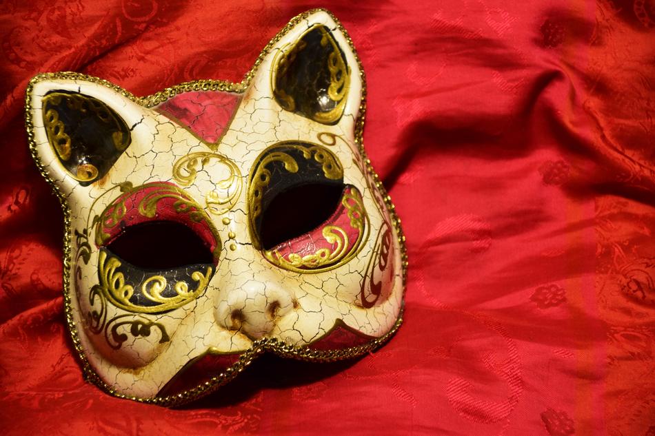 Carnival Mask Cat on red blanket