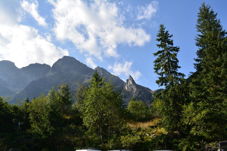 mountain scenery in the forest