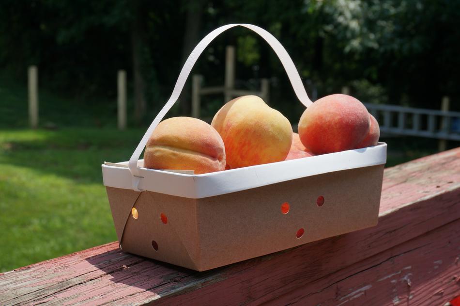 juicy peaches in a basket
