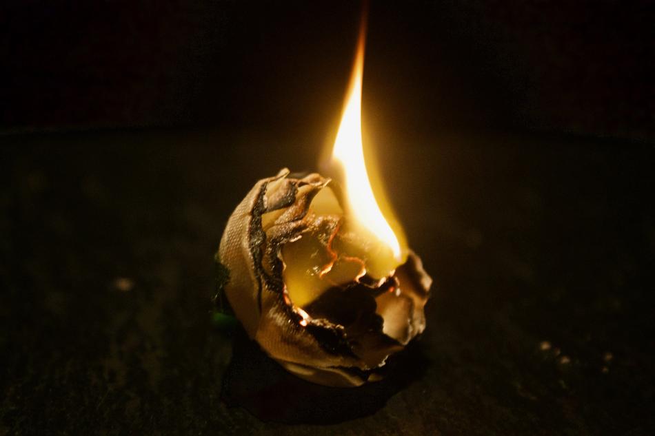 Fire Flower Flame