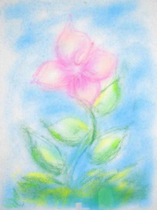 Drawing Flower