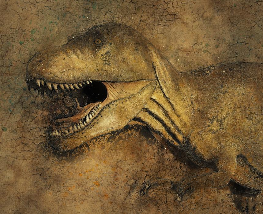 vintage dinosaur background texture