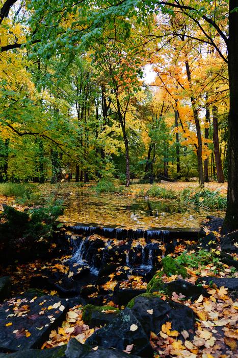 Autumn Park Foliage