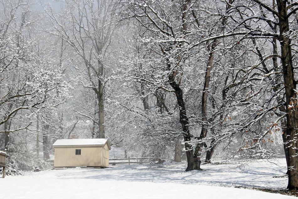 Winter Snow Cold