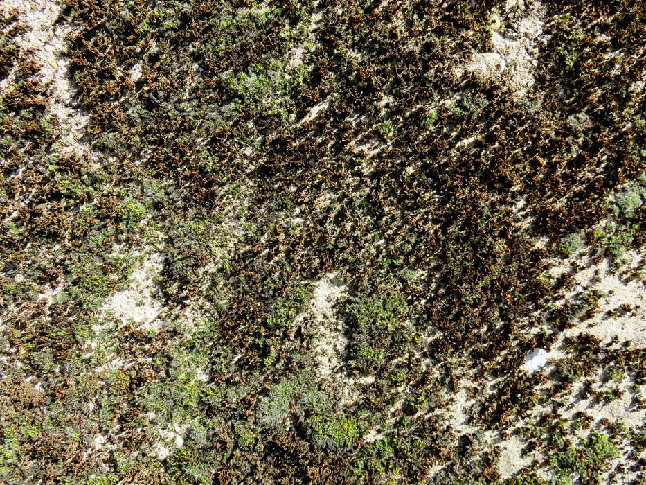 Texture Background Wall