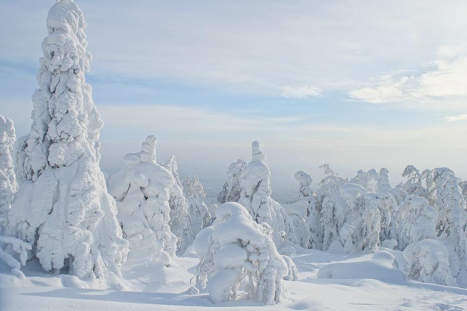 Winter Russia Snow