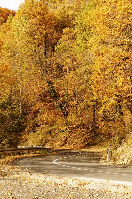 golden autumn weather