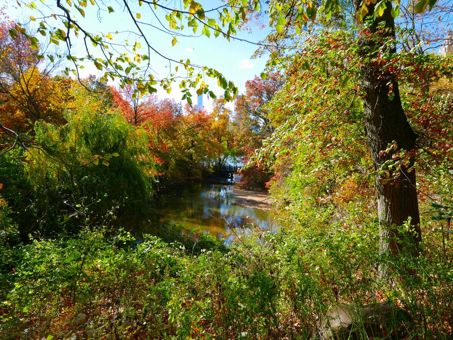 Newyork Usa Brooklyn