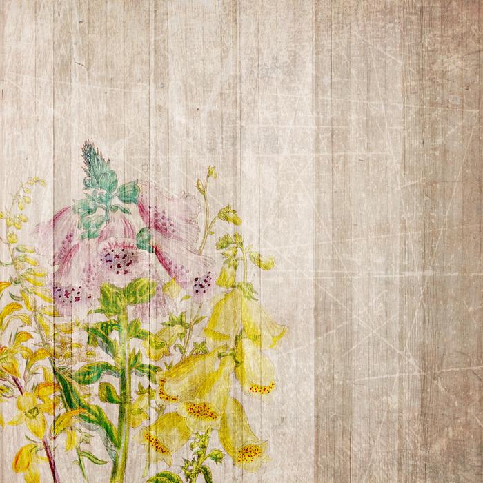 Colorful and beautiful flowers with leaves on the vintage paper, clipart