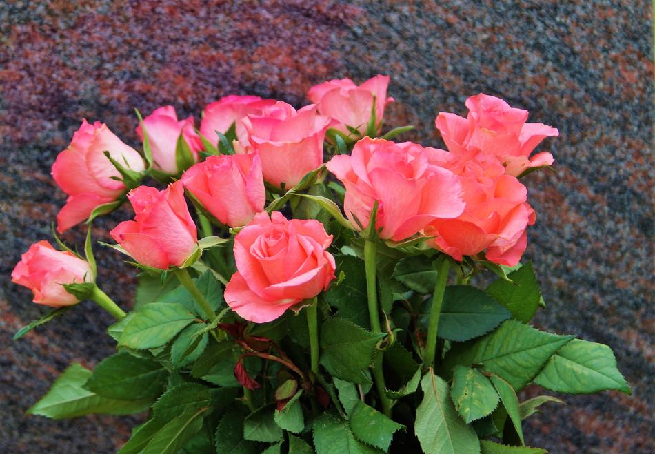 bouquet of roses outside