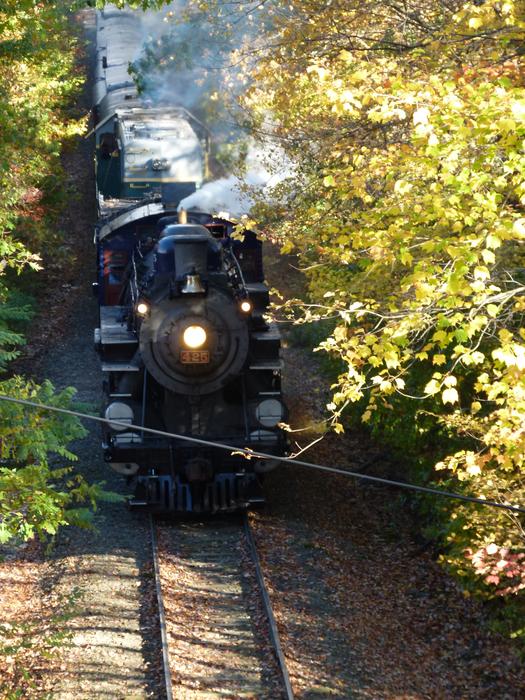 Train Steam