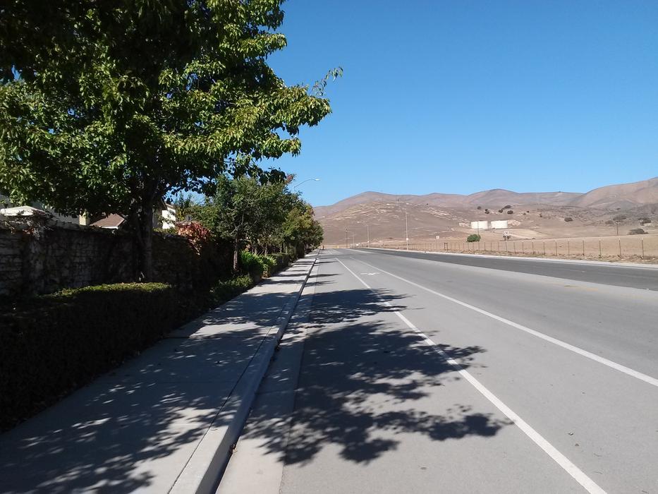 Street Avenue Green