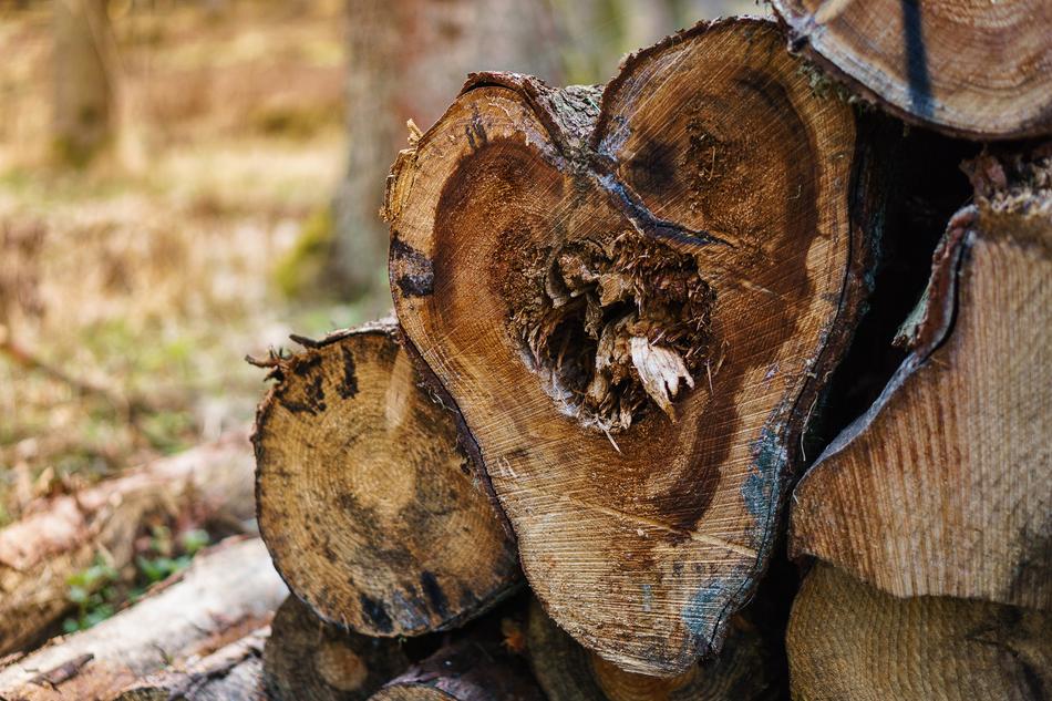 old split log