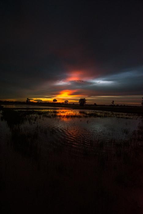 dark twilight over fields in the countryside