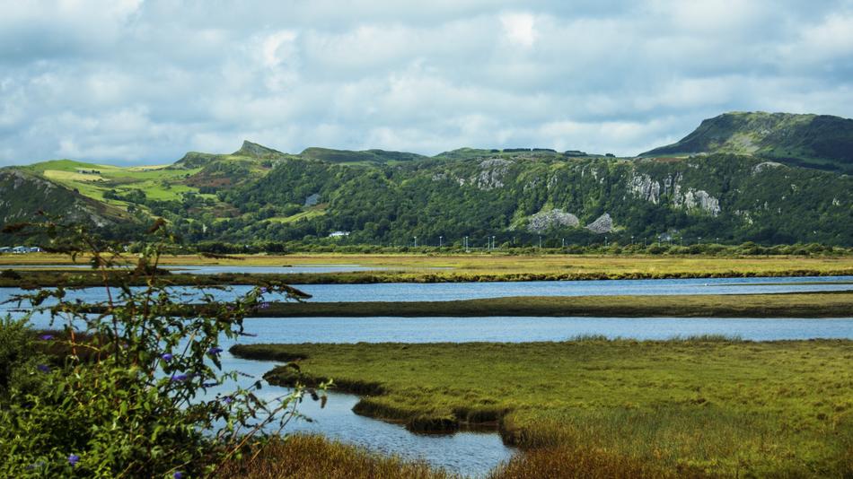 background from the river and the field