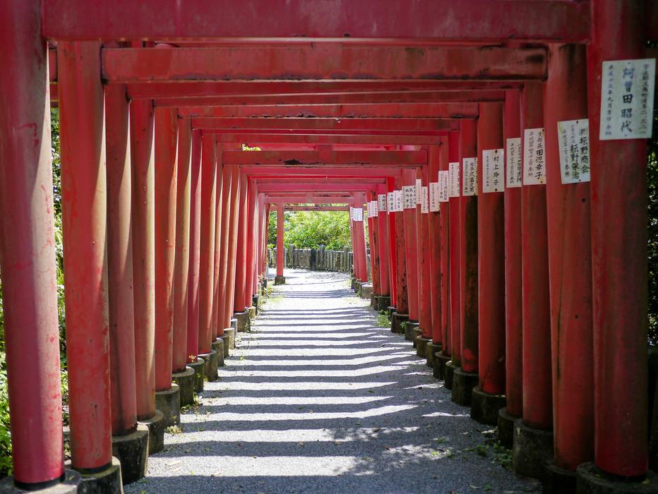 Japanese arches in the park