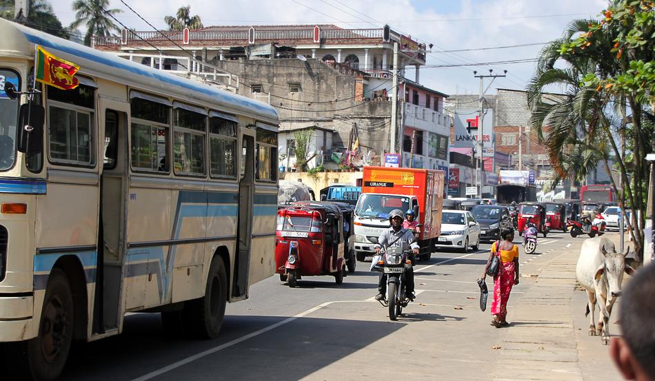 Sri Lanka Road Human