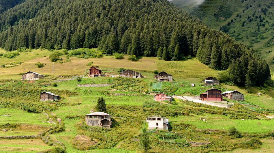 small houses on a hill