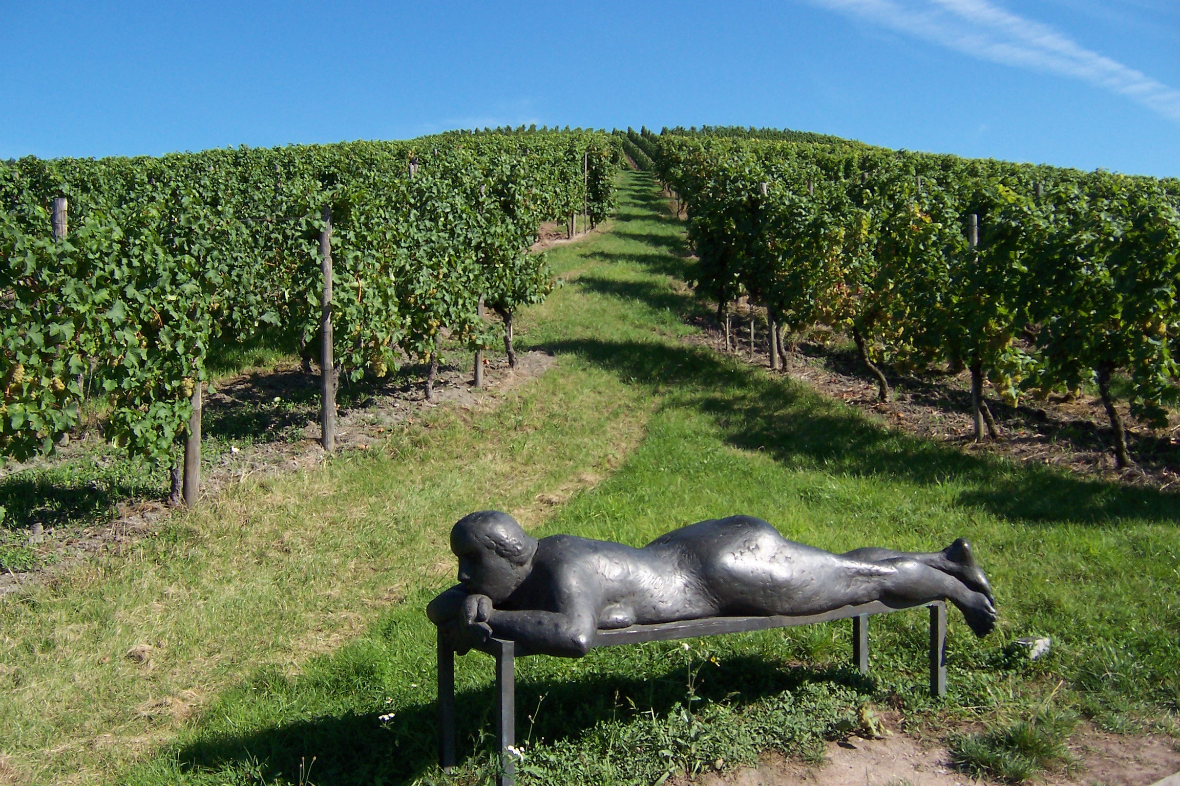 Landscape Sculpture Vineyard free image download