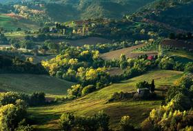 houses on a meadow with trees