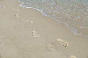 Beach Sand Sylt