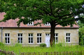 Forest House Dream Home Old