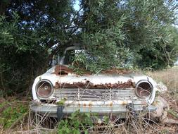Car Wreck Rust